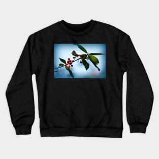 probably chokecherries 2 Crewneck Sweatshirt